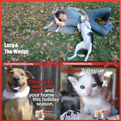 Thorsten Kaye promoted the adoption of pets through his Instagram handle.